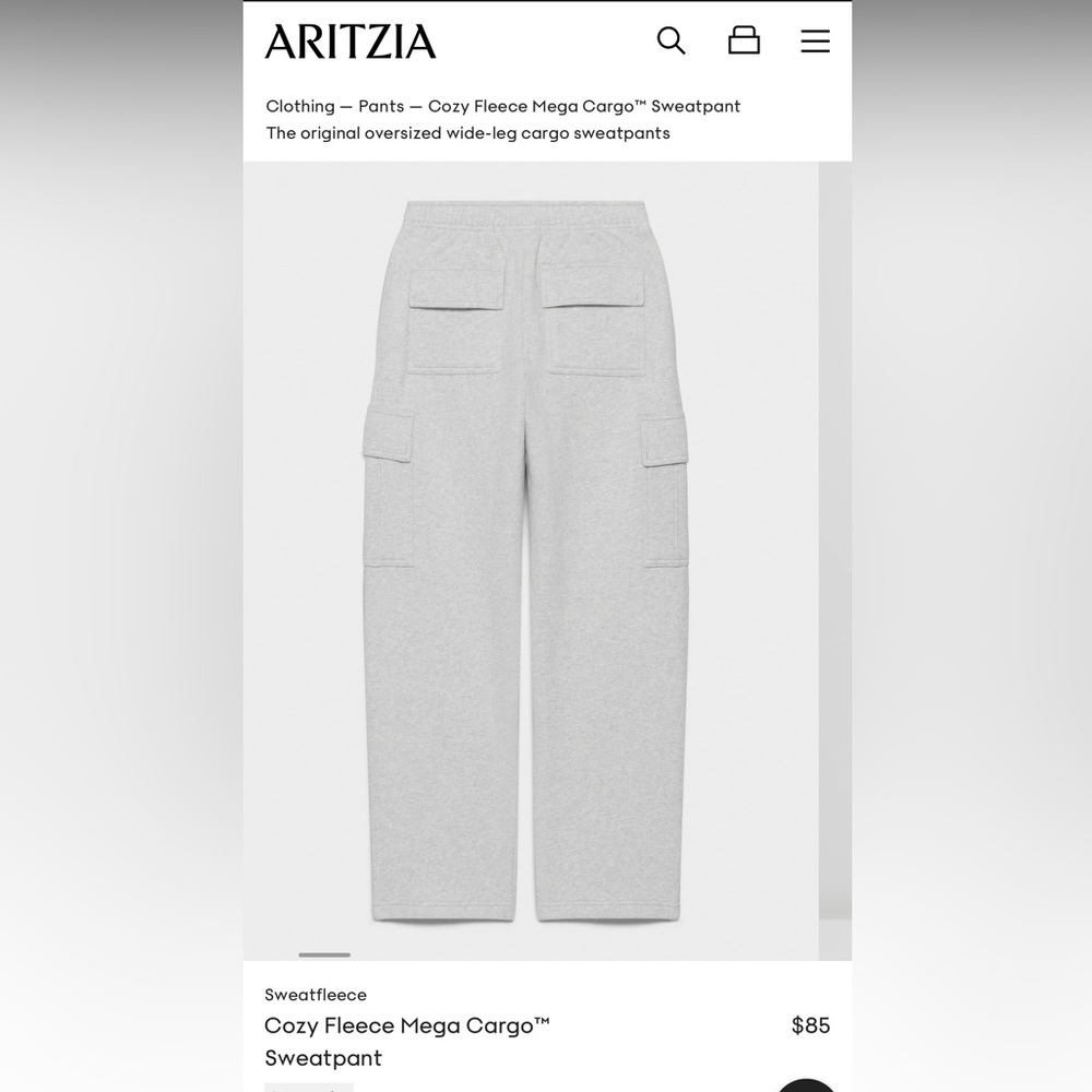 Aritzia Cozy Mega Cargo Sweatpants